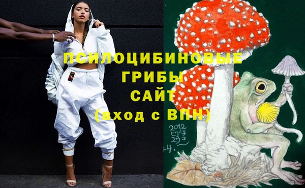 хмурый Белоозёрский