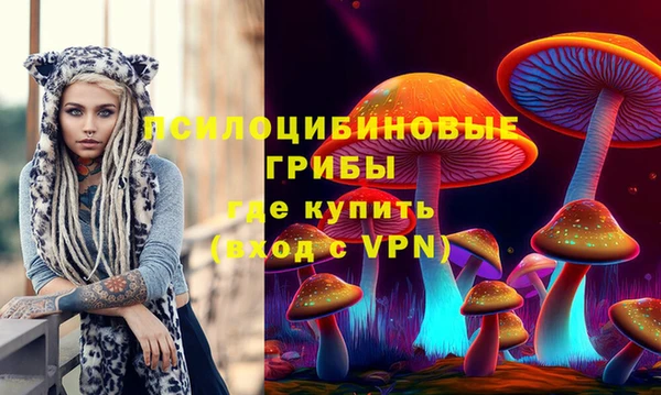 синтетический гашиш Богородицк