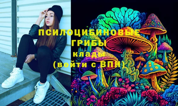 мдма Богданович