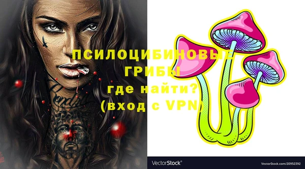 гидропоника Белокуриха